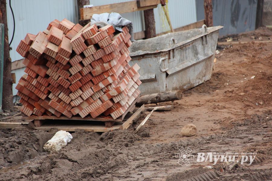 В скором времени нерадивых великолучан станет проще изолировать (ФОТО)