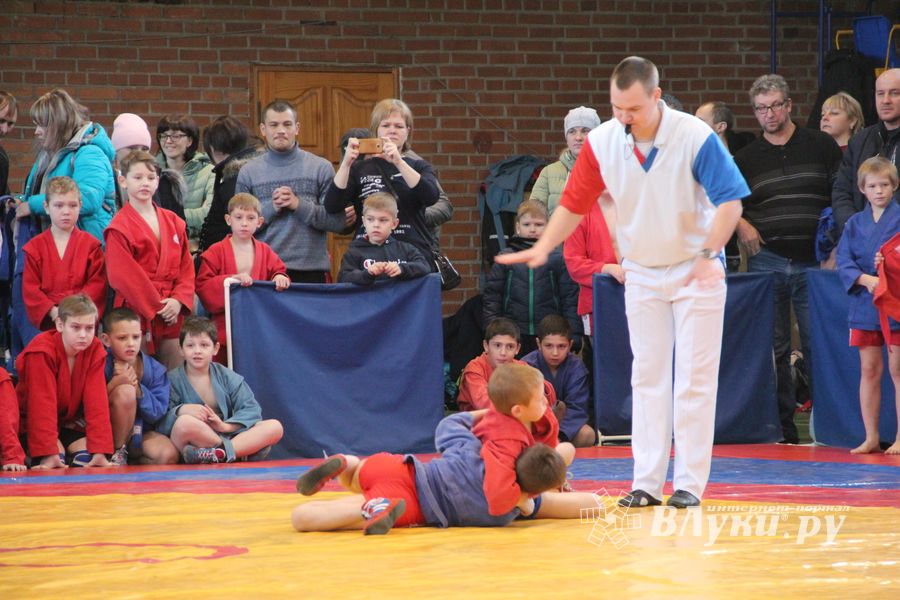 Великолучане завоевали награды турнира по самбо «Память» (ФОТО)