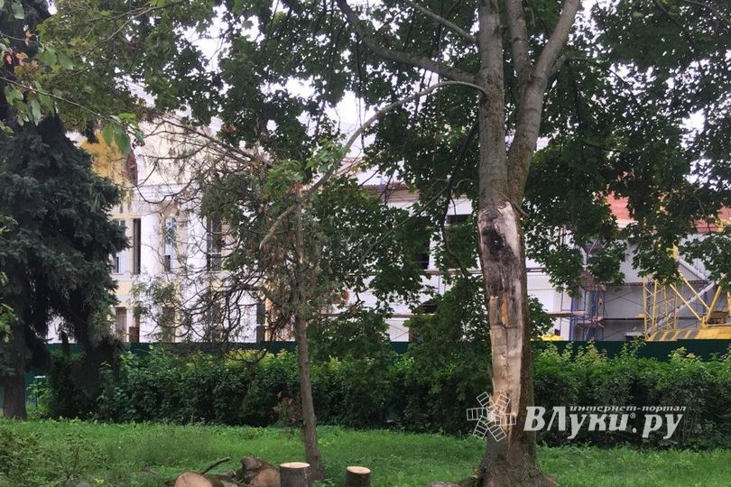 Обратная сторона центра Великих Лук (ФОТО)