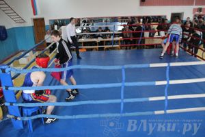 Открытое Первенство города по боксу