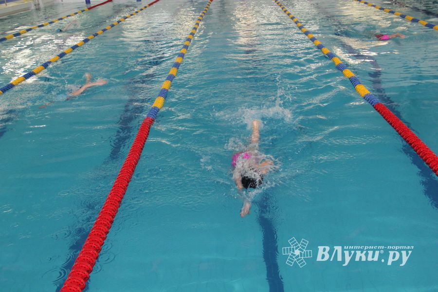В Великих Луках прошли соревнования по плаванию «Быстрый Кашалот»