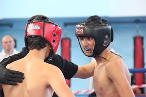 Первенство России по смешанному боевому единоборству ММА пройдет в Великих Луках