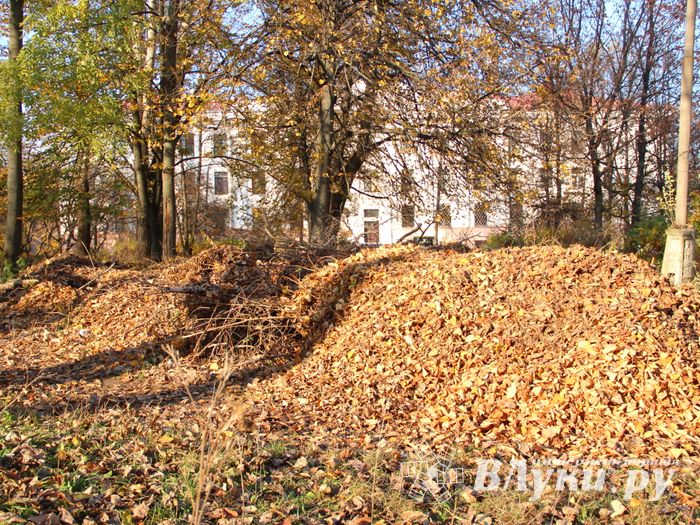 Будущие строители железных дорог провели «четверготник» (ФОТО)