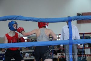 Открытое Первенство города по боксу