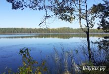 Топ-5 предметов, которые сделают поход легче