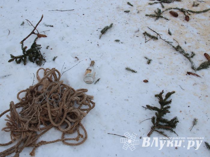 Главная городская ёлка отправилась на свалку (ФОТО)