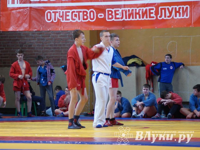 Великолучане завоевали призовые места на турнире по самбо «Память» (ФОТО)