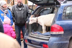 В Великих Луках проходит Весенняя ярмарка