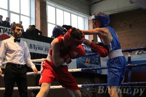 16-й Международный турнир по боксу (фото)