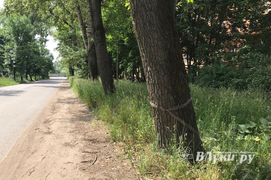 Трава у дома (ФОТО)