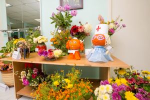 ​Доверяйте профессионалам!