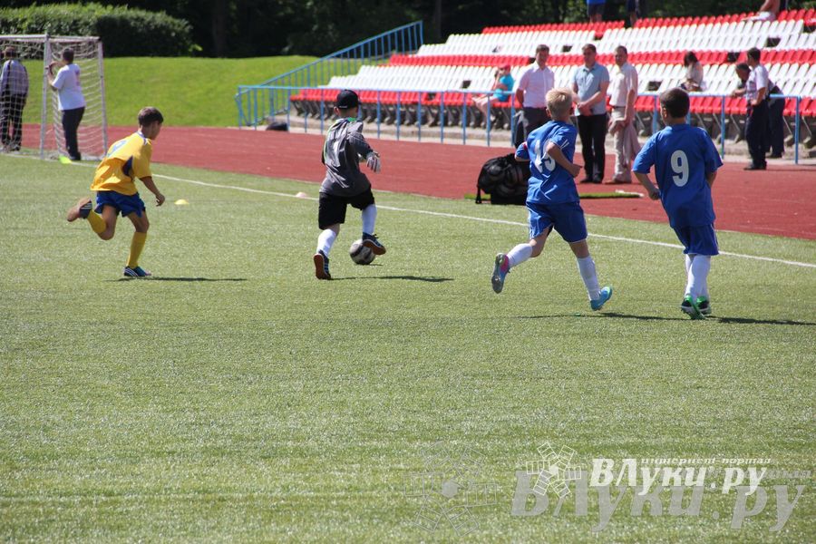 «Локобол-2013» в Великих Луках