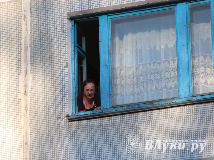 Жители улицы Зелёной выступили против переименования (ФОТО)