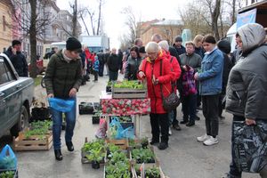 В Великих Луках прошла ярмарка «Весна - 2022» (ФОТО)