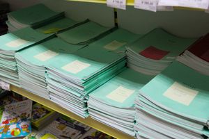 Великолучанам дают возможность расширить границы детства (ФОТО)