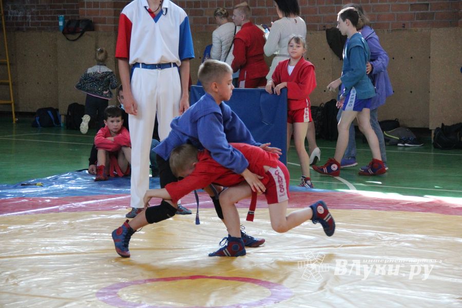 Фестиваль боевых искусств прошел в Великих Луках (ФОТО)