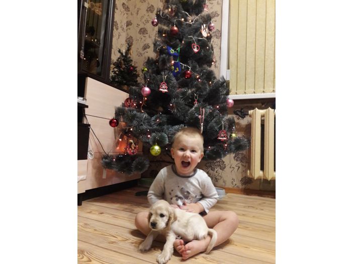 Объявляем победителей фотоконкурса «Косточка к Новому году» (ФОТО)