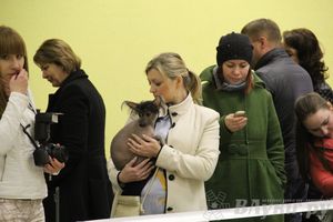 Всероссийская выставка собак «Великие Луки — 2014»