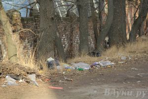 Город в ожидании субботника