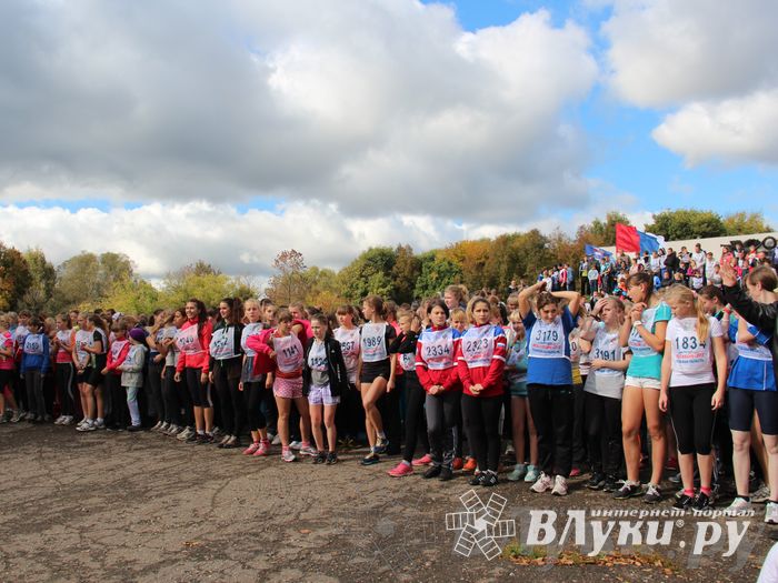 Кросс нации