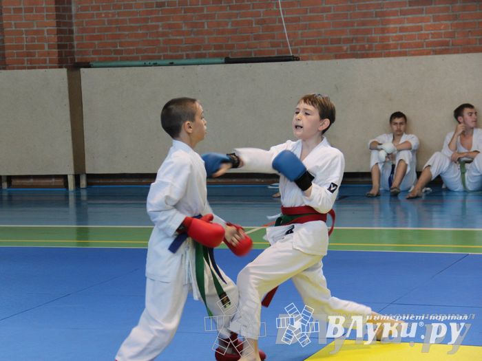 Турнир по каратэ «Неприкосновенный запас — дети Отчизны»
