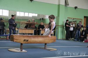 В Великих Луках прошел турнир по спортивной гимнастике (фото)