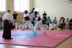 В Великих Луках прошло ​первенство города по ВБЕ «Кобудо» (ФОТО)