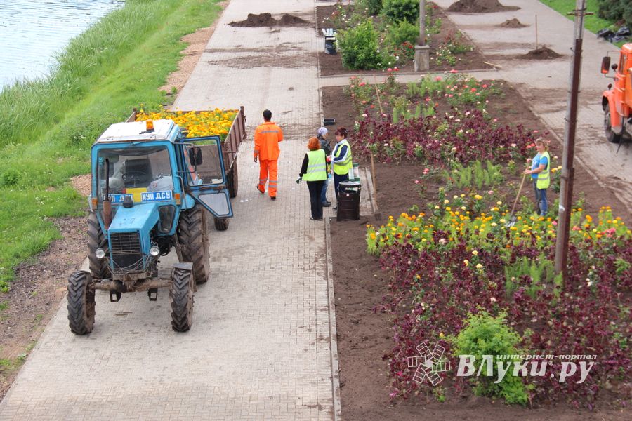 В Великих Луках сажают, стригут и красят (ФОТО)