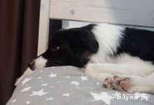 Прогноз погоды в Великих Луках на 10 ноября