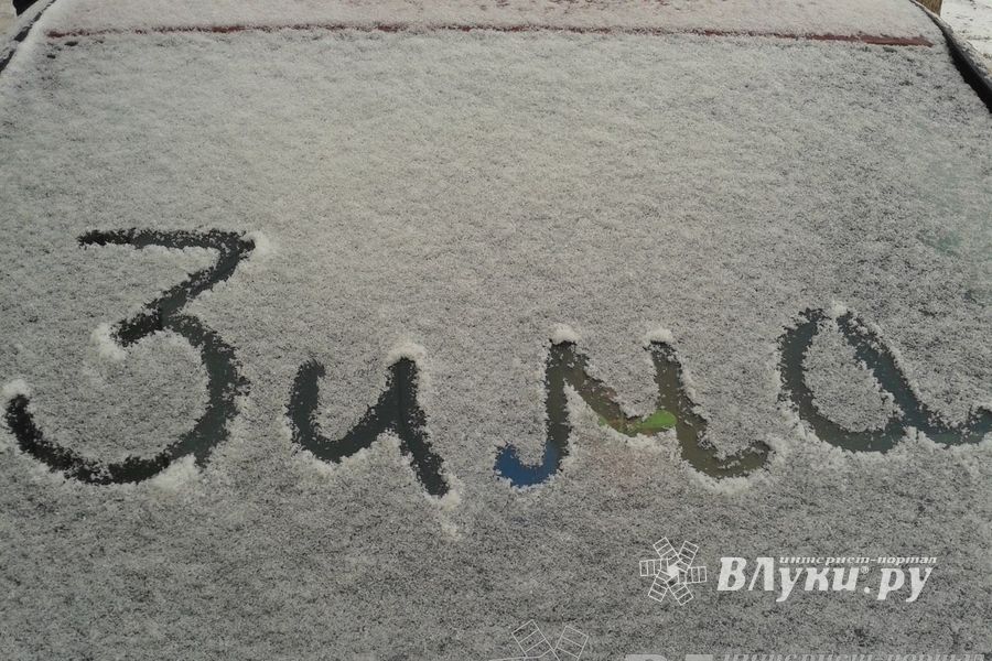 Зима. Начало