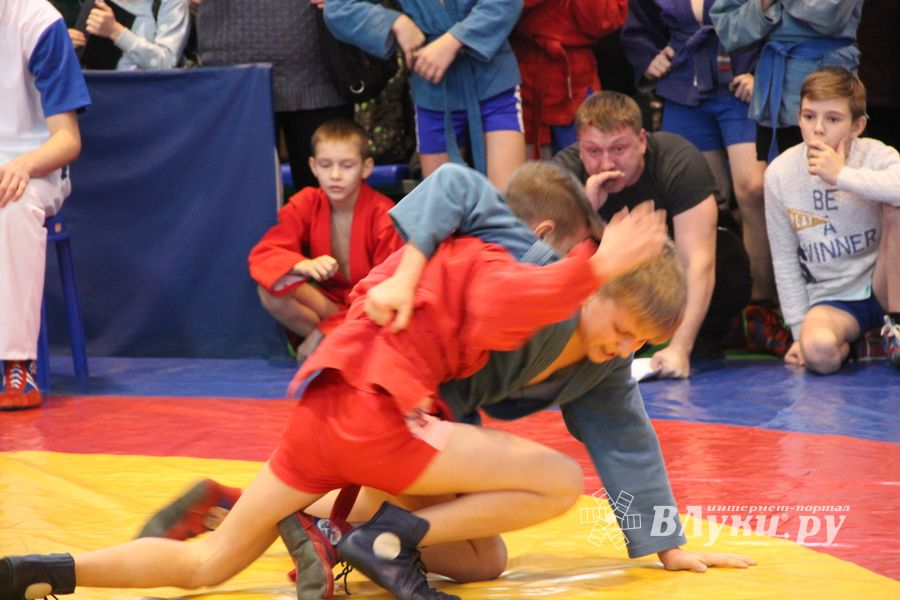 В Великих Луках проходит турнир самбистов (ФОТО)