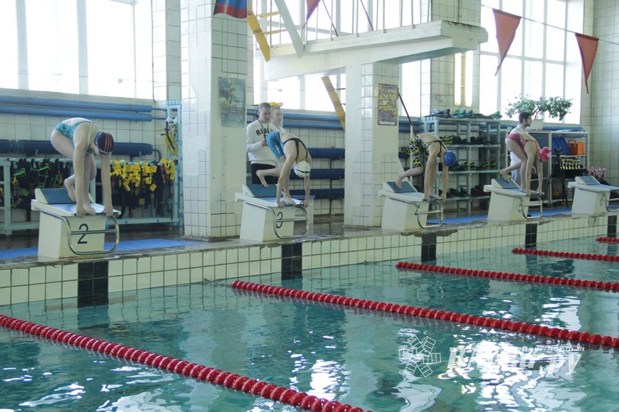 В Великих Луках прошел Чемпионат и Кубок города по плаванию (фото)