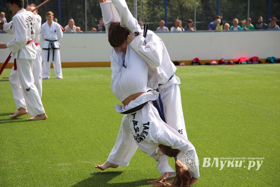 День спорта в День города: сила, мужество и грация (ФОТО)