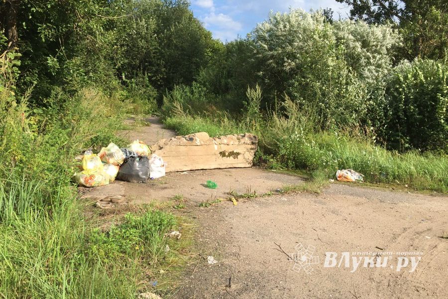 На обочину трассы Булынино-Невель выбрасывают даже автомобили (ФОТО)