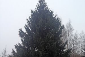 Город готовится к Новому году