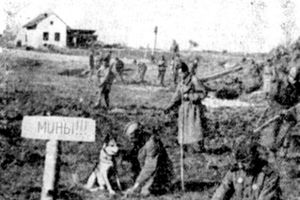 Кинологи себежской таможни рассказали школьникам о подвигах и буднях служебных собак (фото)