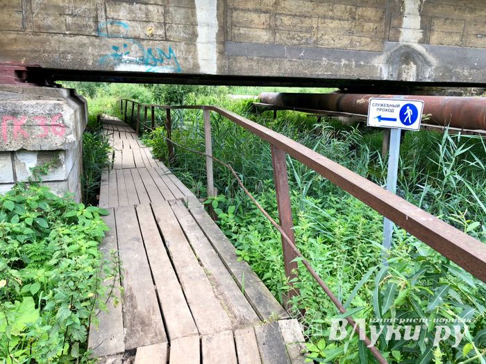 Великолучанка собралась жаловаться Путину на опасный Лазавицкий переезд (ФОТО)