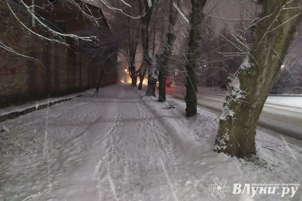 Завтра в Псковской области ожидается снег и метель