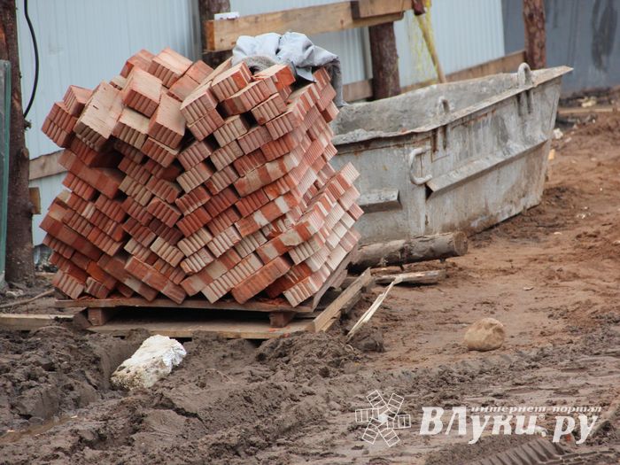 В скором времени нерадивых великолучан станет проще изолировать (ФОТО)