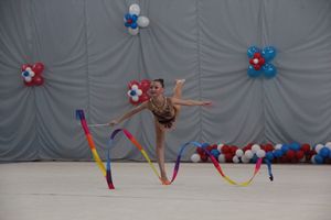 ​В Великих Луках прошли соревнования по художественной гимнастике (ФОТО)