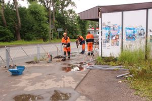 На проспекте Гагарина меняют дорожное ограждение (ФОТО)