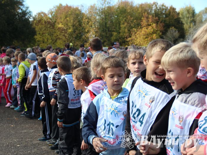 Кросс нации