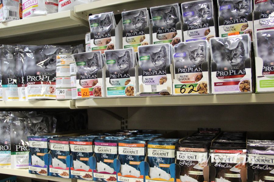 «Zooбастики»: подарите праздник своим любимцам! (ФОТО+ВИДЕО)