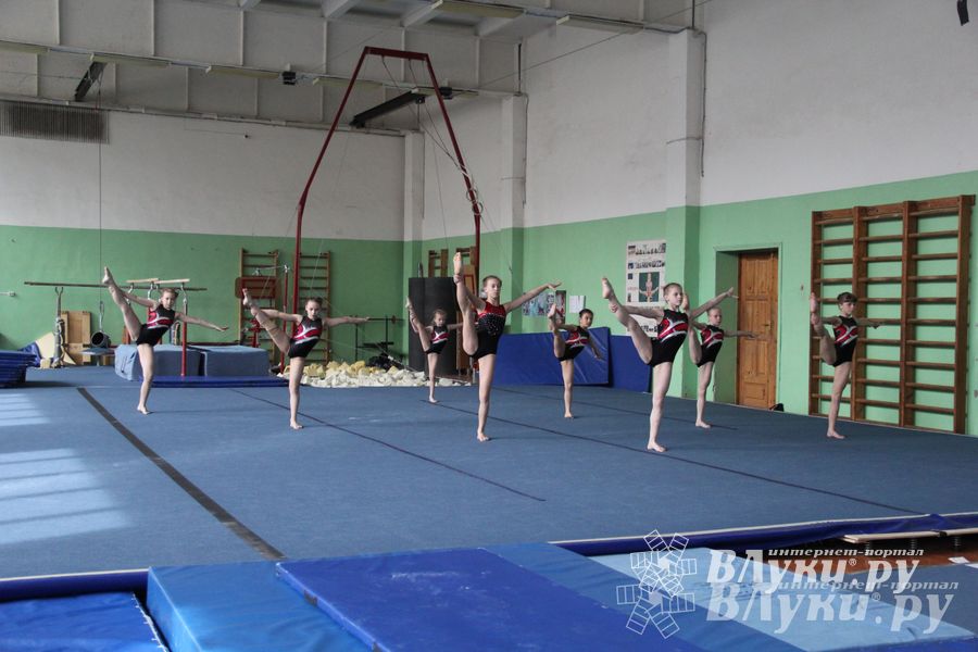 В Великих Луках состоялось Первенство по командной гимнастике (фото)