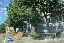 Водителей Великих Лук просят быть внимательнее (ФОТО)