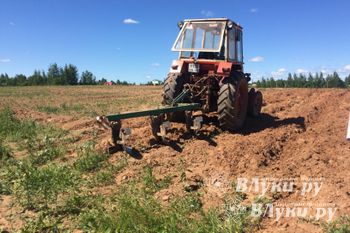 Фото предоставлено комитетом по молодежной политике и спорту г. Великие Луки