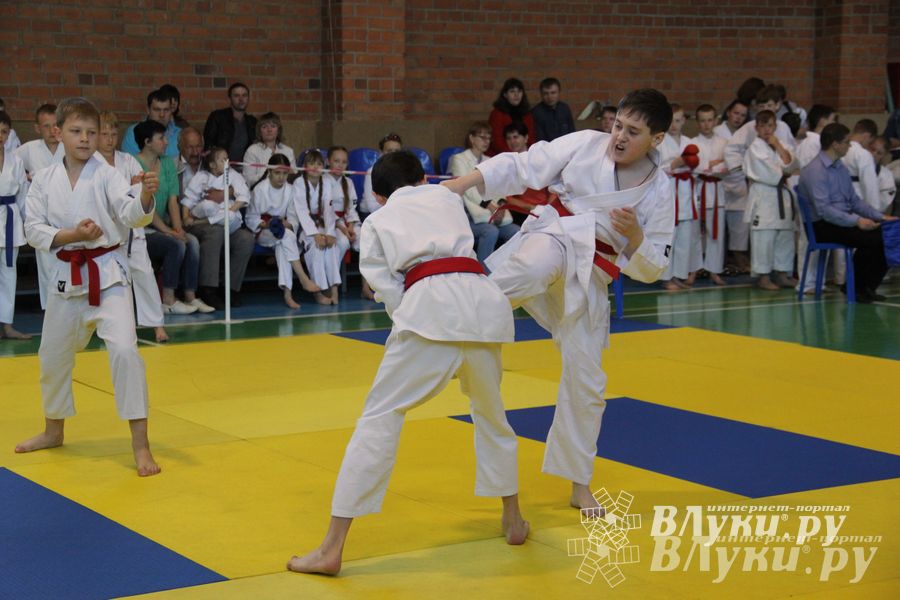 Великолучане стали победителями турнира по каратэ «Неприкосновенный запас, дети — Отчизны 2015» (фото)