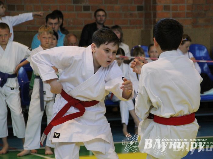 Великолучане стали победителями турнира по каратэ «Неприкосновенный запас, дети — Отчизны 2015» (фото)