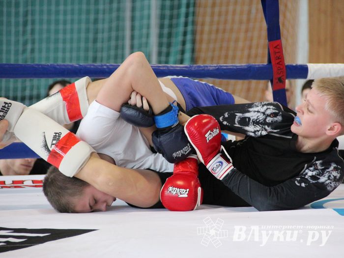 Открытый кубок по смешанному боевому единоборству ММА прошел в Великих Луках (ФОТО)