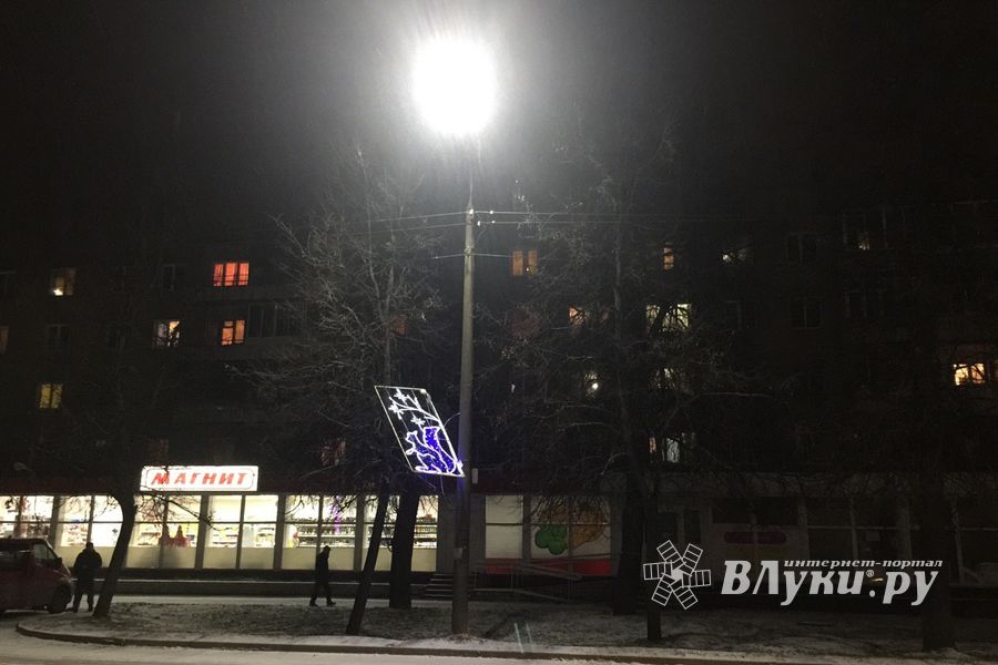 Великолукских белок не выдерживают уличные столбы (ФОТО)